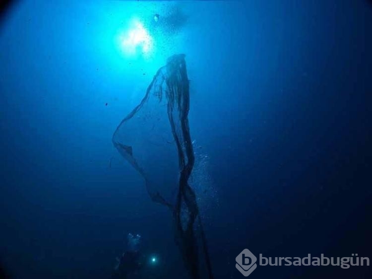 Ayvalık ilçesi yakınlarında hayalet ağ temizlemeleri sürüyor