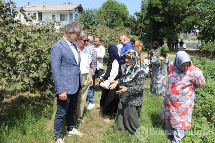 YRP'li Kılıç Fındığın kilosu 250 TL üzerinde olmalıdır dedi!