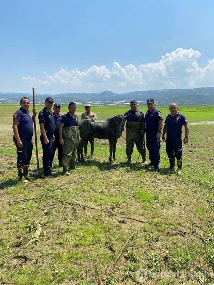 Bataklığa saplandılar yardımlarına itfaiye ekipleri yetişti
