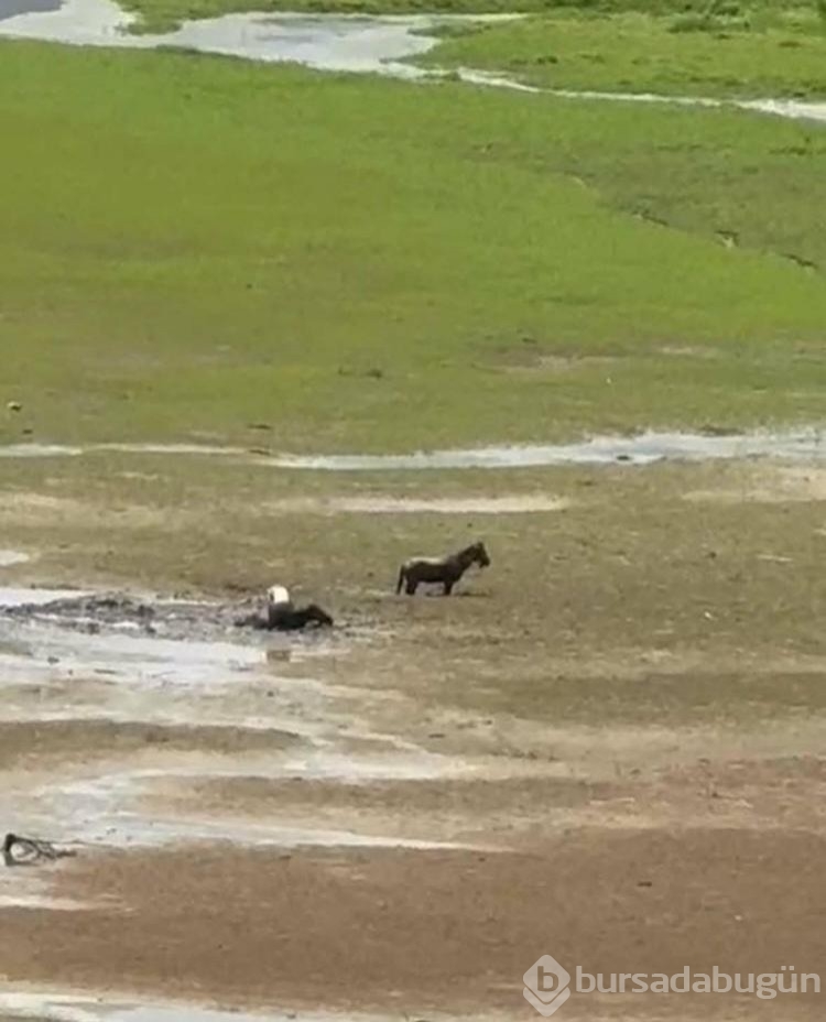 Bataklığa saplandılar yardımlarına itfaiye ekipleri yetişti