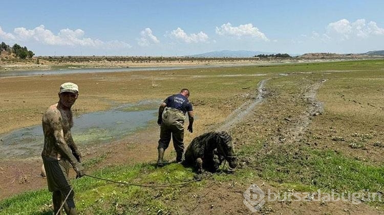Bataklığa saplandılar yardımlarına itfaiye ekipleri yetişti