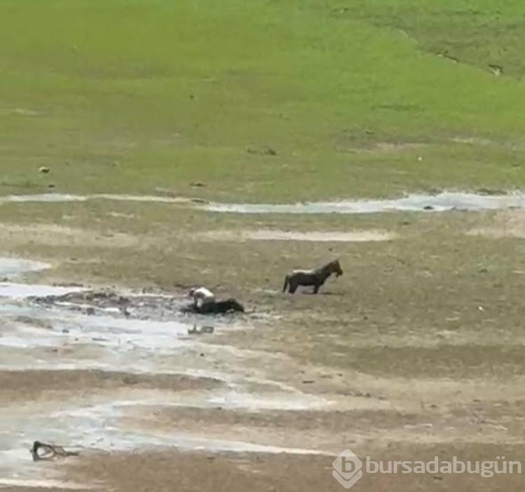 Bataklığa saplandılar yardımlarına itfaiye ekipleri yetişti