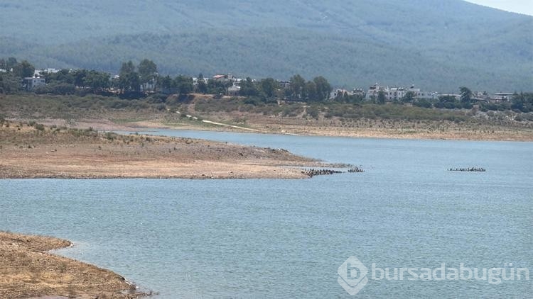 Bodrum ilçesinde su seviyesi düştü!
