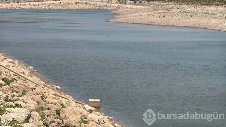 Bodrum ilçesinde su seviyesi düştü!