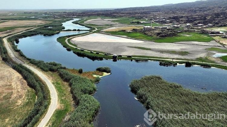 Ağrı Dağı'nın eteklerindeki sulak alanlar doğa turizmine kazandırılıyor