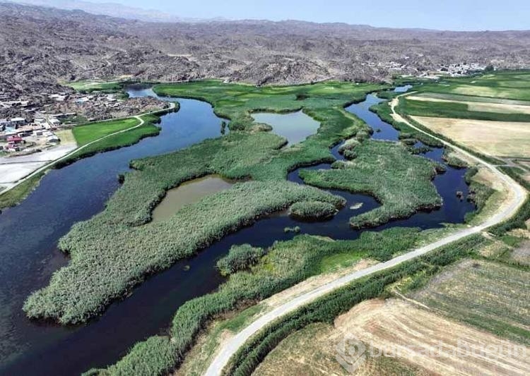 Ağrı Dağı'nın eteklerindeki sulak alanlar doğa turizmine kazandırılıyor