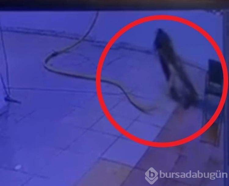 Su tahliye sırasında akıma kapılıp hayatını kaybetti