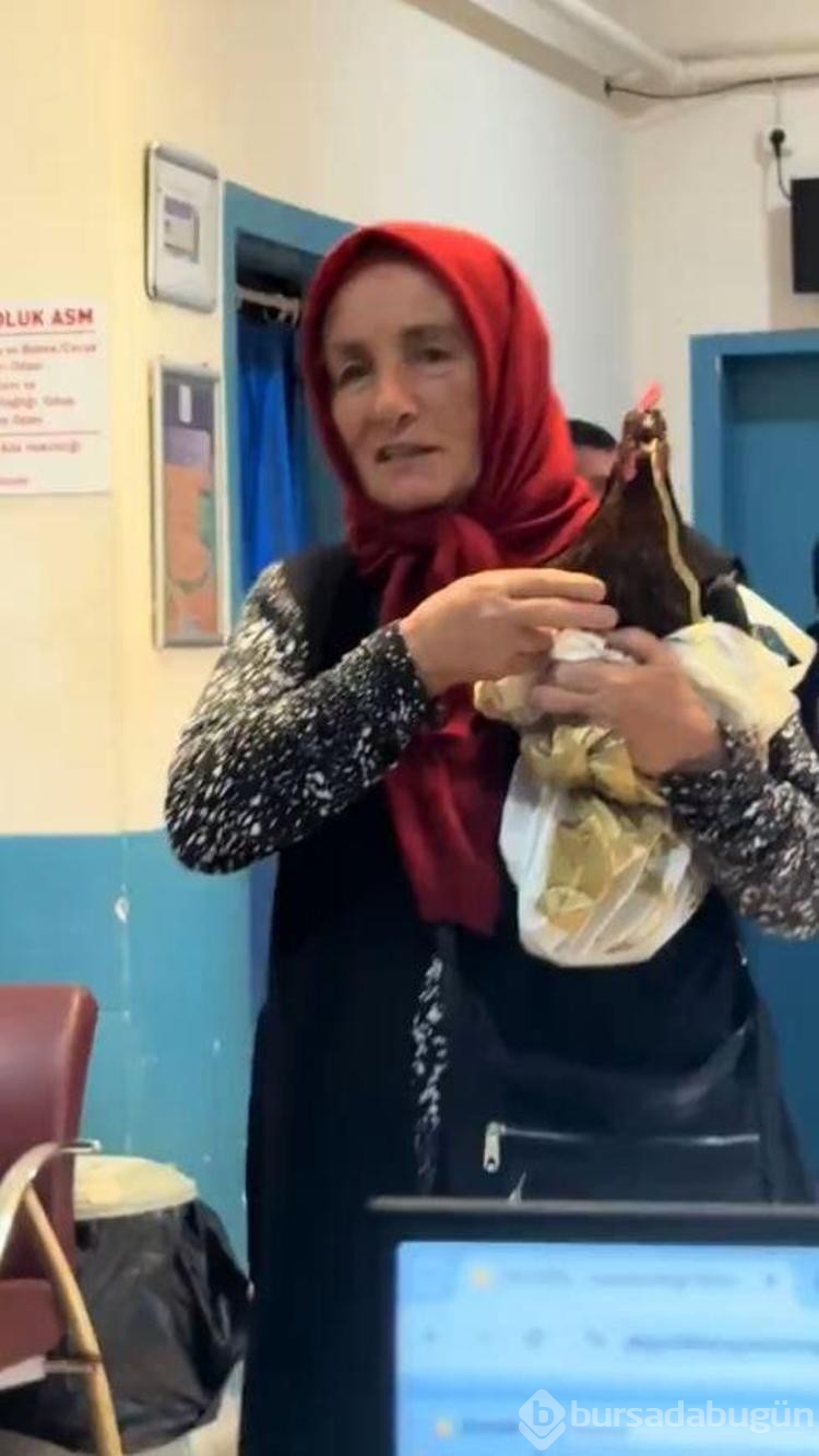 Horozunun boğazına iğne kaçtı! Röntgen çekilmesini istedi