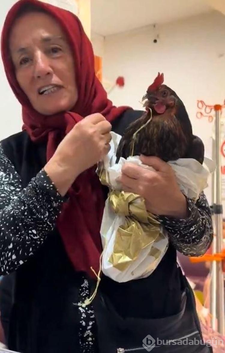 Horozunun boğazına iğne kaçtı! Röntgen çekilmesini istedi