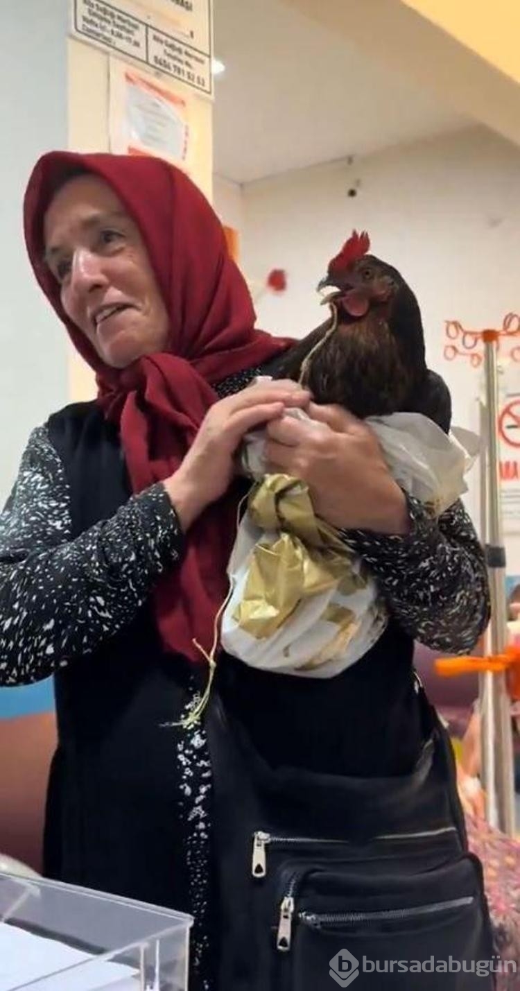 Horozunun boğazına iğne kaçtı! Röntgen çekilmesini istedi