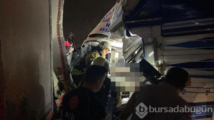 Kamyona çarpan kamyonet şoförü hayatını kaybetti
