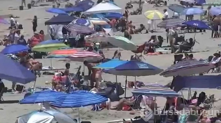 Türkiye kıyılarında da ortaya çıkan et yiyen bateri hızla yayılıyor!