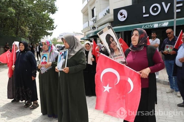 Kızı dağa kaçırılan anne: Silah yerine kalem alın