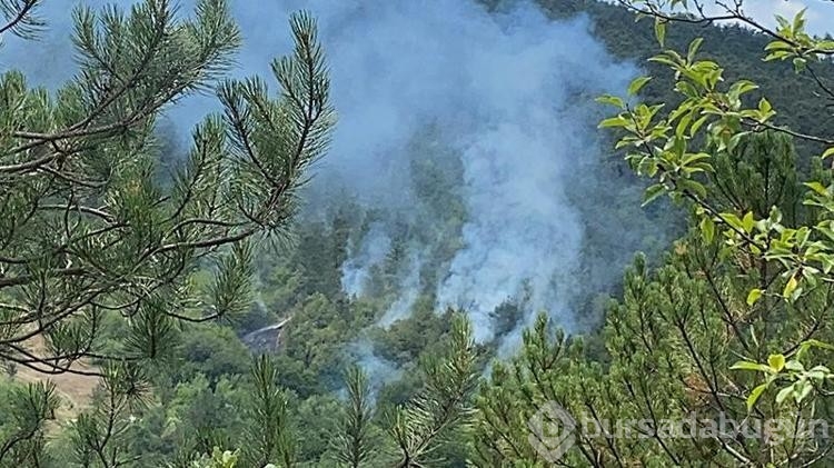Bolu'da çıkan orman yangını kısa sürede kontrol altına alındı