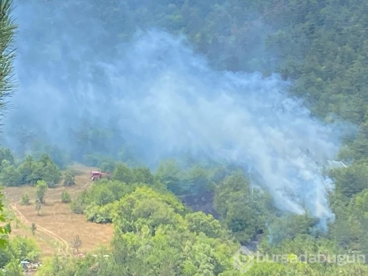 Bolu'da çıkan orman yangını kısa sürede kontrol altına alındı
