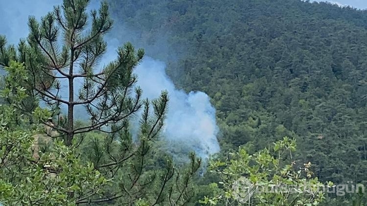 Bolu'da çıkan orman yangını kısa sürede kontrol altına alındı