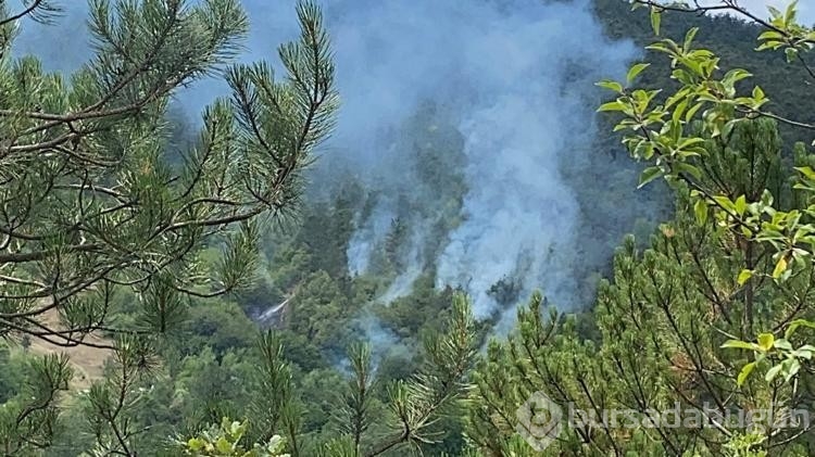 Bolu'da çıkan orman yangını kısa sürede kontrol altına alındı