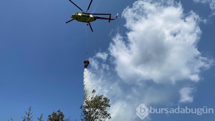 Bolu'da çıkan orman yangını kısa sürede kontrol altına alındı