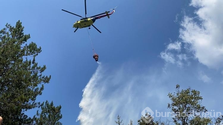 Bolu'da çıkan orman yangını kısa sürede kontrol altına alındı