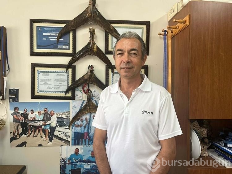 Uzun dikenli deniz kestanesi Ege Denizi'nde!
