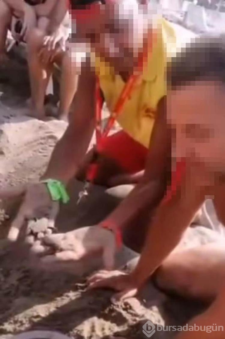 Caretta yuvaları, para karşılığı turistlere açılıyor