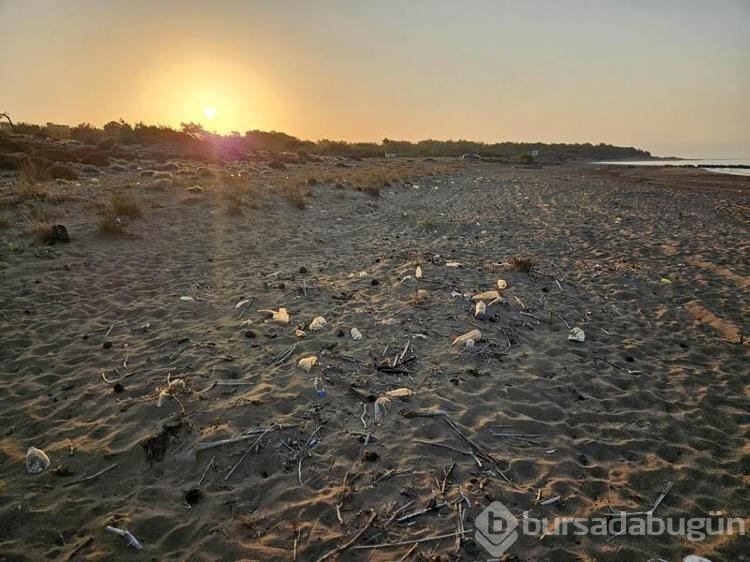 Caretta yuvaları, para karşılığı turistlere açılıyor
