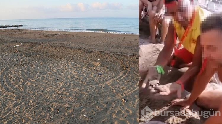 Caretta yuvaları, para karşılığı turistlere açılıyor