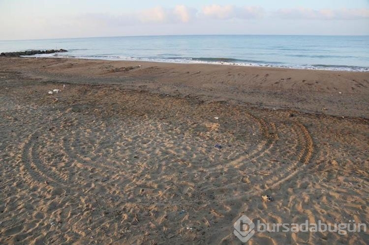 Caretta yuvaları, para karşılığı turistlere açılıyor