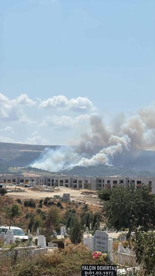 Çanakkale'de orman yangını!