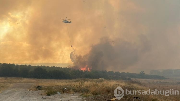 Çanakkale'de orman yangını!