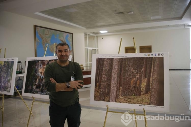 Dicle Vadisi'nde yaban hayatı gözlemlendi!