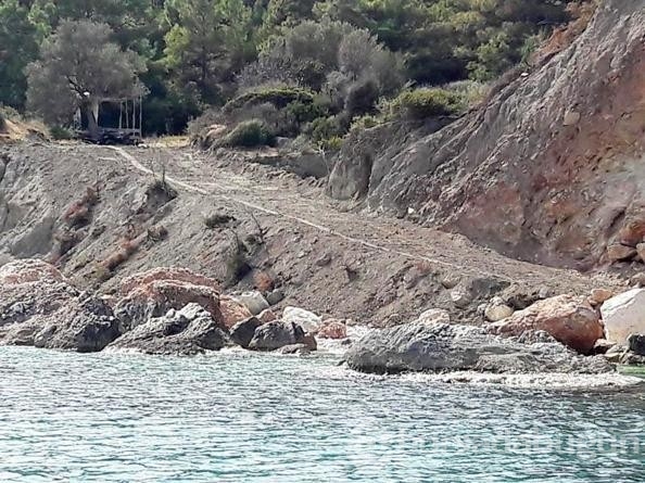 Gerenlik Koyu'nun içinde yer alan Konaklamasız Orman Parkı ihaleye çıkıyor