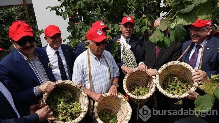 Trabzon'da 'Dünya Fındık Haftası' etkinliği