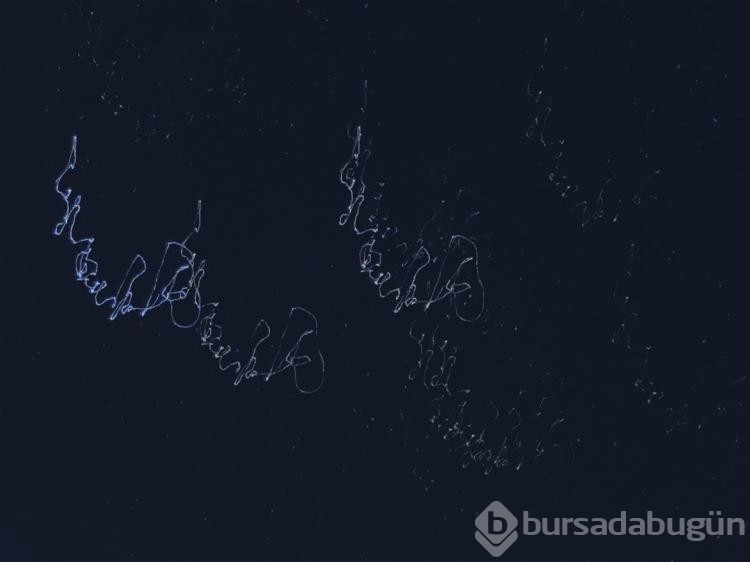 Meteor yağmuru Bursa'da ilgiyle izlendi
