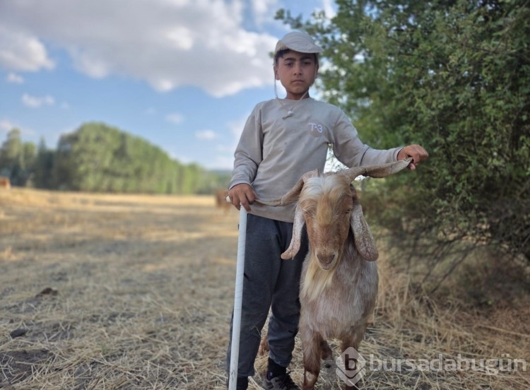 Baktığı hayvanların huyuna ve desenine göre isim veriyor