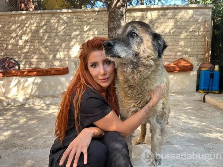 Obez köpek 6 ayda 20 kilo verdi