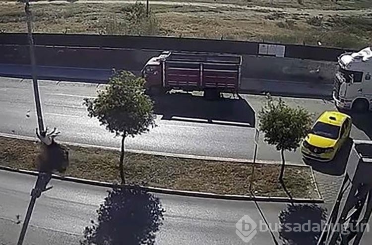 Motosiklet sürücüsünün ölümüne neden oldu! Bahanesi...