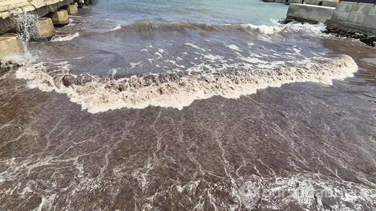 Tekirdağ'da deniz, kızıl yosunlar sebebiyle kırmızı renge boyandı
