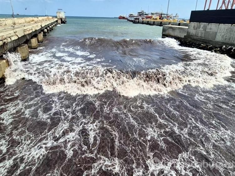 Tekirdağ'da deniz, kızıl yosunlar sebebiyle kırmızı renge boyandı