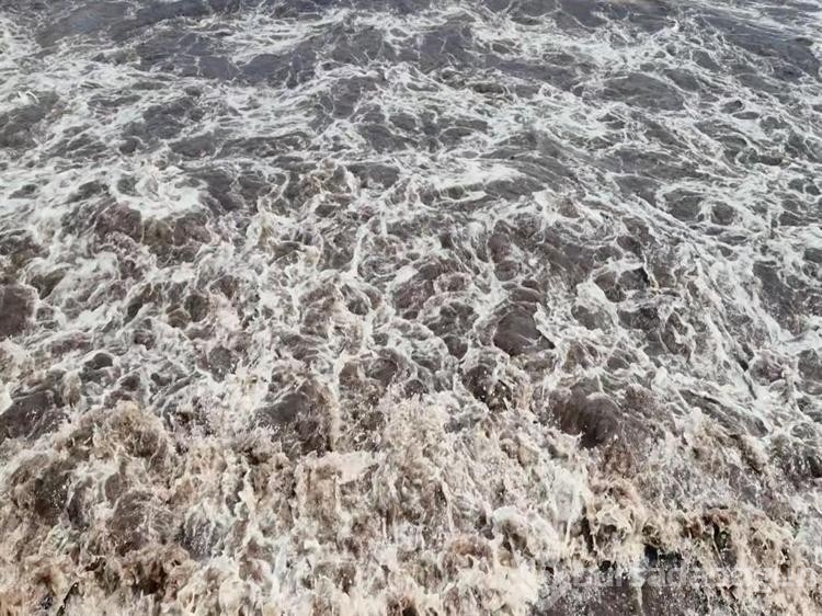 Tekirdağ'da deniz, kızıl yosunlar sebebiyle kırmızı renge boyandı