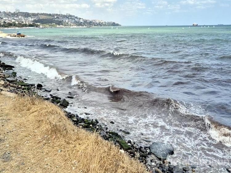 Tekirdağ'da deniz, kızıl yosunlar sebebiyle kırmızı renge boyandı