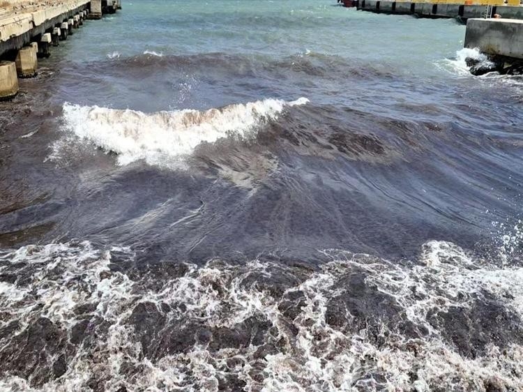 Tekirdağ'da deniz, kızıl yosunlar sebebiyle kırmızı renge boyandı