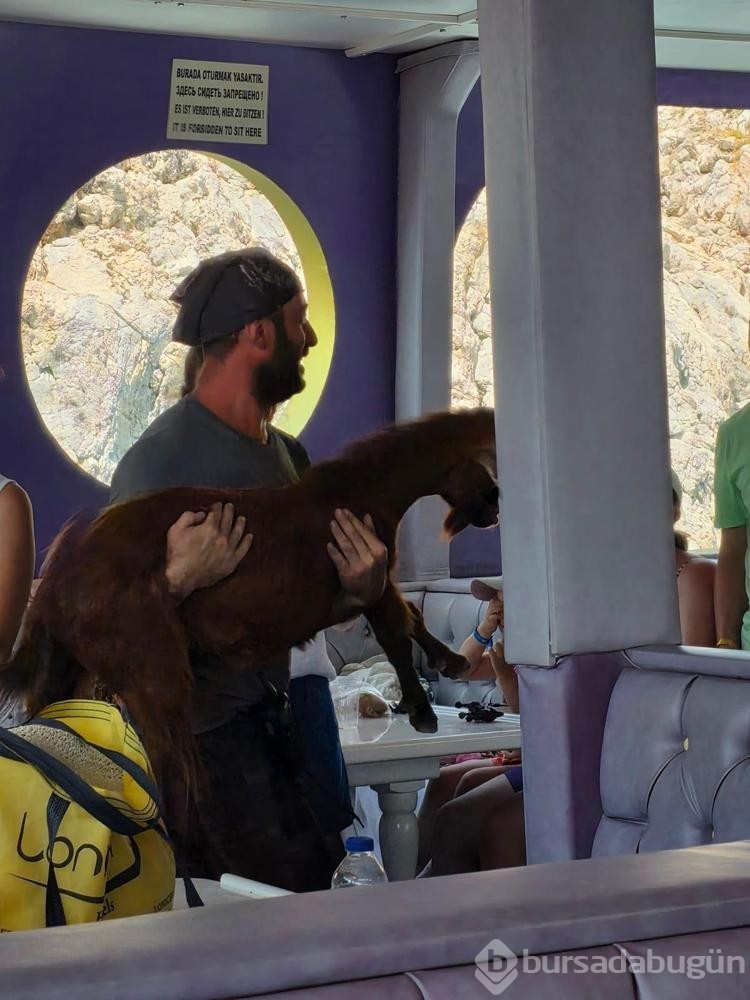 3 gündür kayalıkta mahsur olan keçiyi tekneciler kurtardı