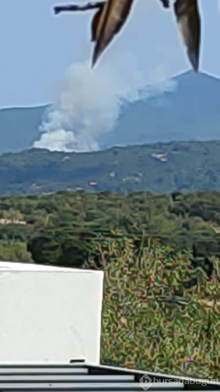 Çanakkale'de orman yangını