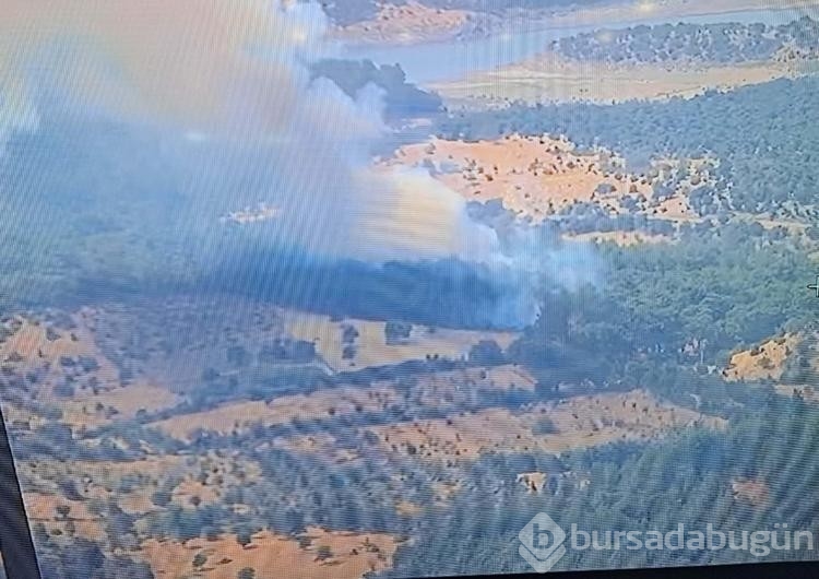 Çanakkale'de orman yangını