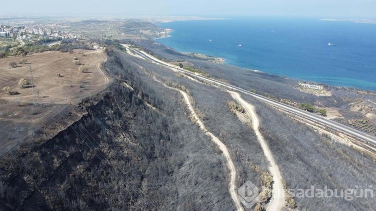 Çıkan orman yangınları nedeniyle korunmasız hale gelen yaban hayvanları için av yasağı isteği