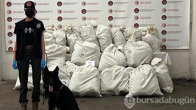 Kapıkule'de 245 kilo esrarı Füge buldu