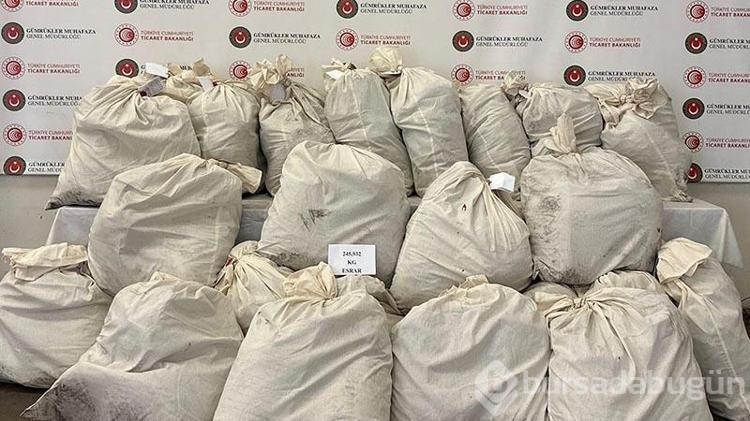 Kapıkule'de 245 kilo esrarı Füge buldu