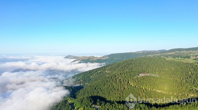 Hem türbesi, hem manzarası var: Bu yayla bulutlara komşuluk yapıyor! Turistler akın ediyor...