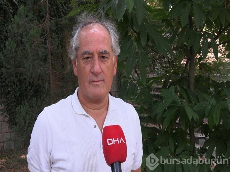 Yanan ormanların yeşertilmesinde ekolojik denge uyarısı